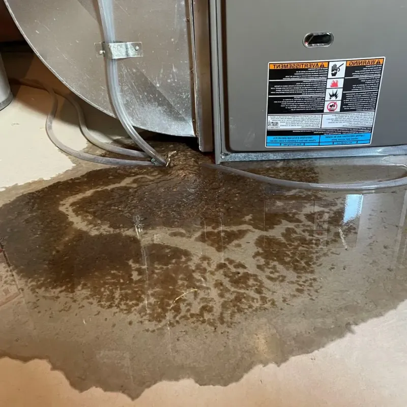 Pipe Burst and Leak Restoration in Brodhead, KY